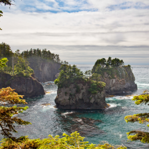 Olympic National Park